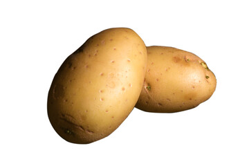 raw potato healthy plant used in cooking