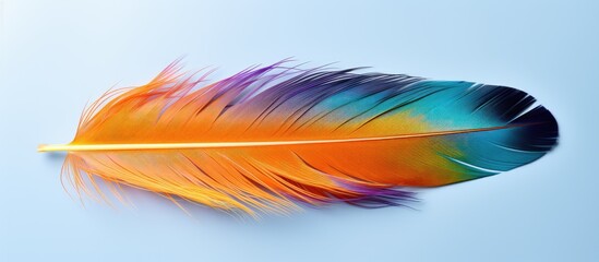 A stunning vivid and vibrant photo of a feather in various colors on a clean background The photo is captured from above showcasing its intricate details and there is empty area available fo