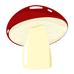 3D mushroom drawing