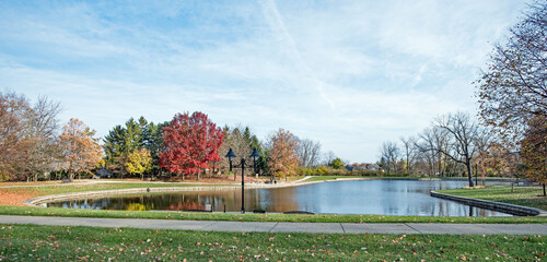 Urban Park Pond in Late Autumn - obrazy, fototapety, plakaty