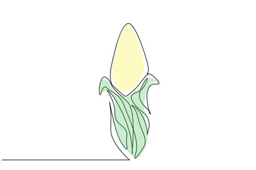 corn cob plant vegetable object agricultural product line art design