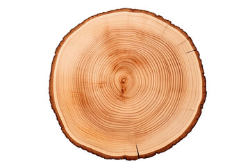 Top view of circular wood piece with annual ring isolated on white background - Powered by Adobe