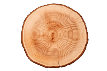 Top view of circular wood piece with annual ring isolated on white background