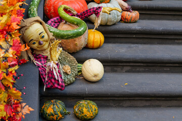 Autumn pumpkins decorated in front door on the steps. Halloween decorations outside. Empty space. High quality photo