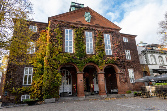 Kolding, Denmark,  The  ivy facade of the Kolding Town Hall.