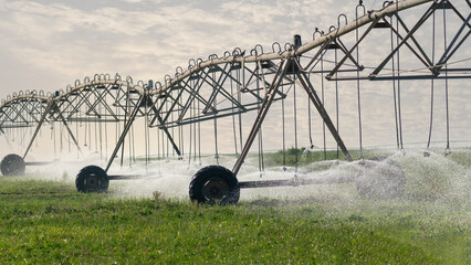 Grass field irrigated by a pivot sprinkler system in Qatar