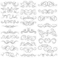 Vector graphic elements for design vector elements. Swirl elements decorative illustration