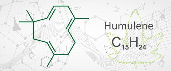 Humulene, alpha-humulene or alpha-caryophyllene molecule. It is component of the essential oil from flowering cone of hops plant, Humulus lupulus. Skeletal chemical formula.