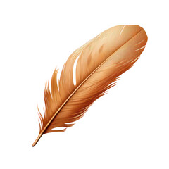 Brown feather isolated on transparent background,transparency 