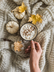 A mug of hot chocolate with marshmallows and cinnamon in a woman's hand on a knitted blanket