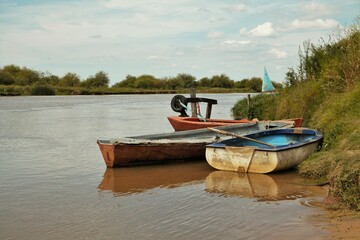 On the edge of the river