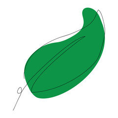 Leaves elements. Garden floral plants vector illustration.