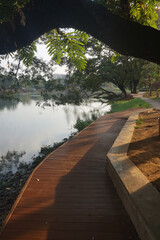 view of a relaxing place under the trees on the edge of the lake