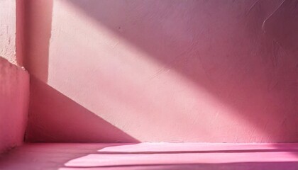 Designers' Delight: Pink Play of Light and Shadow