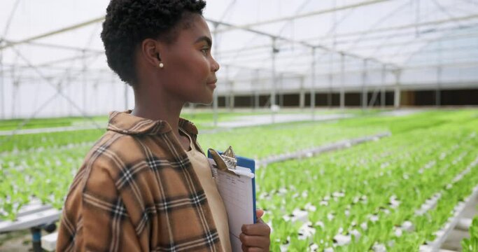 Greenhouse, black woman and documents with clipboard, agriculture and sustainability with inspection. African person, employee and inspector with paperwork, nature or countryside with startup or agro
