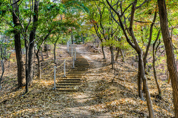 Stairs on side of mountain on sunny fall afternoon.