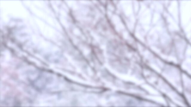 Blurred shot of snowing background, winter scenery with snowfall. 4K