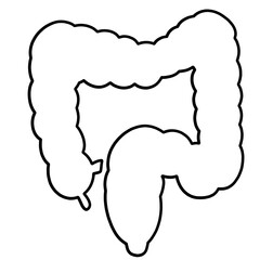大腸のシンプルなイラスト