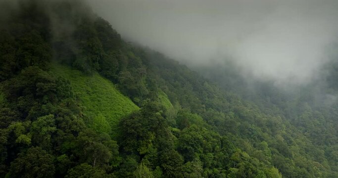 Mystic and foggy drone flight over tropical rainforest. Agung volcano slope