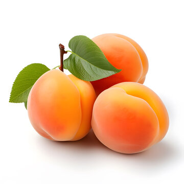 Photo of realistic peach fruit on white background.