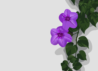 Purple trumpet vine flowers on wall.