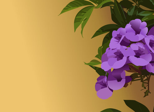 "Trumpet Vine" Images – Browse 4,769 Stock Photos, Vectors, and Video