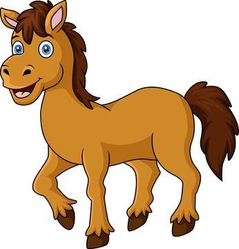Cute brown horse cartoon on white background