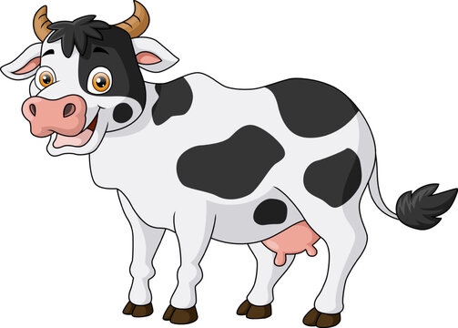 Cute cow cartoon on white background