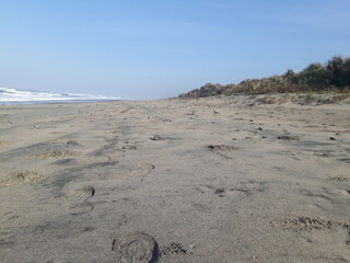View of the beach on Mount Geder Garut in summer