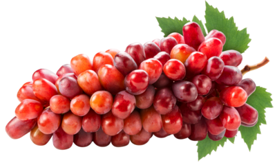Red Grape on whiter background, Red grape or Red shine muscat grape with leaf isolste on white PNG File.