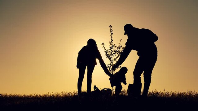 Family with child planting tree together silhouettes in sunset country field