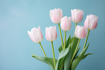 Beautiful arrangement of pink tulips in vase against vibrant blue background. Perfect for adding pop of color to any space.