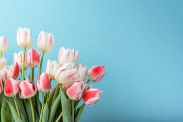 Beautiful bouquet of pink and white tulips against vibrant blue background. Perfect for adding touch of elegance and freshness to any project or design.