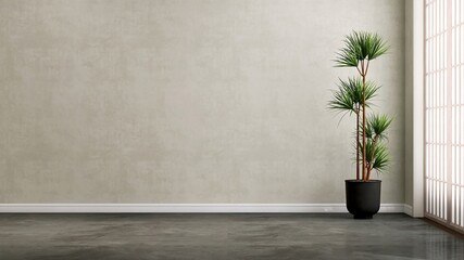 Modern, minimal empty room with green tropical dracaena tree in black pot, shoji partition in sunlight on gray wall, black tile floor for Asian interior design decoration, product background 3D