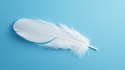 Obraz premium white bird feather on blue background
