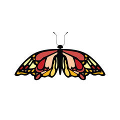 Fototapeta na wymiar Flat design butterfly vector illustration art