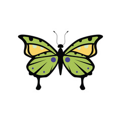 Flat design butterfly vector illustration cartoon