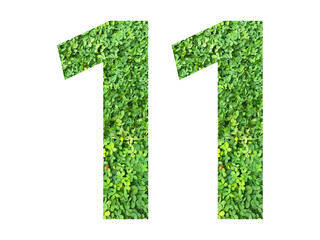 The shape of the number 11 is made of green grass isolated on transparent background. Go green concept.