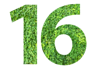 The shape of the number 16 is made of green grass isolated on transparent background. Go green concept.