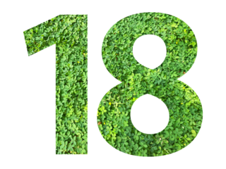The shape of the number 18 is made of green grass isolated on transparent background. Go green concept.