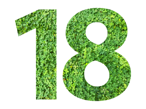 The shape of the number 18 is made of green grass isolated on transparent background. Go green concept. - Powered by Adobe