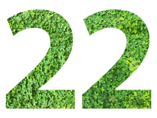 The shape of the number 22 is made of green grass isolated on transparent background. Go green concept.