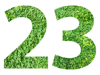 The shape of the number 23 is made of green grass isolated on transparent background. Go green concept.