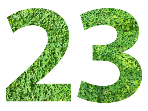 The shape of the number 23 is made of green grass isolated on transparent background. Go green concept.