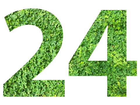 The shape of the number 24 is made of green grass isolated on transparent background. Go green concept.