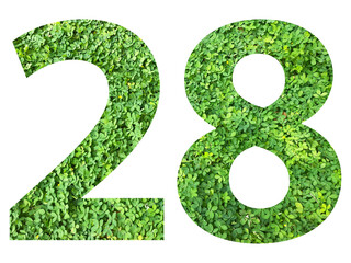 The shape of the number 28 is made of green grass isolated on transparent background. Go green...
