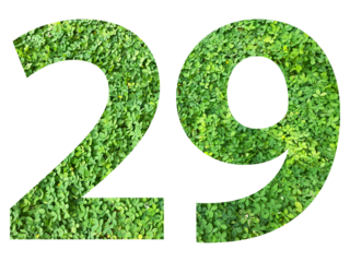 The shape of the number 29 is made of green grass isolated on transparent background. Go green concept.