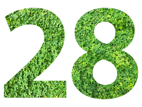 The shape of the number 28 is made of green grass isolated on transparent background. Go green concept.