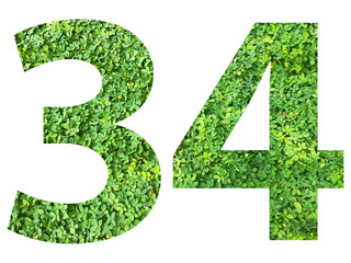The shape of the number 34 is made of green grass isolated on transparent background. Go green concept.