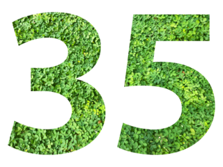 The shape of the number 35 is made of green grass isolated on transparent background. Go green concept.